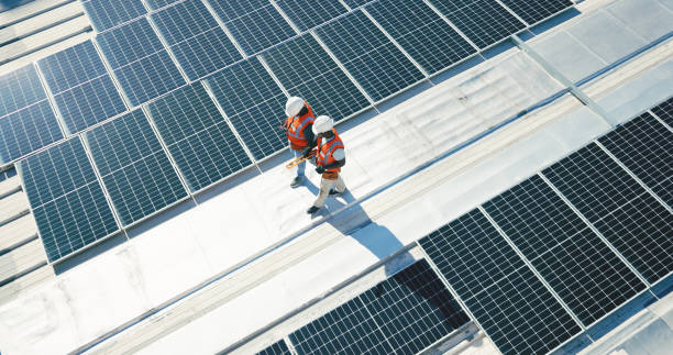 Best 4 Ply Roofing  in Wilton, CA