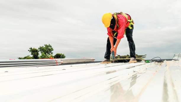 Best Skylight Installation and Repair  in Wilton, CA