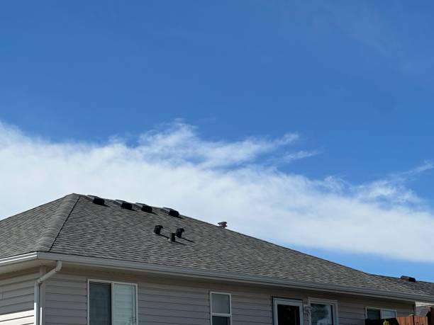 Best Emergency Roof Repair Services  in Wilton, CA